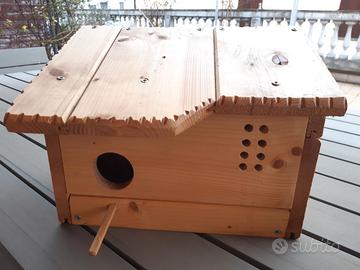 Casetta per uccellini