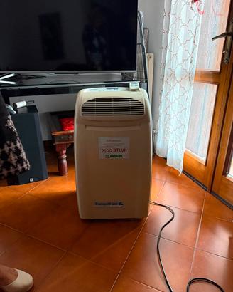 condizionatore portatile ariagel