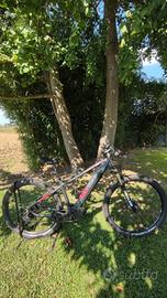 e bike 