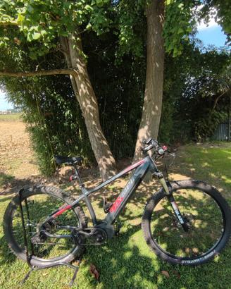 e bike 