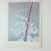 LITOGRAFIA EDOLO MASCI 119/180 PIANTE