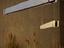 Immagine 10