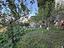 Immagine 28