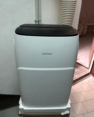 Costway Aria condizionata