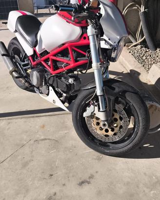 Ducati momster
