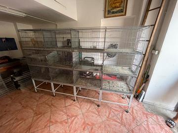 batteria per allevamento a  12 posti  voliera 