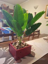 Pianta in cassetta di legno fatta a mano