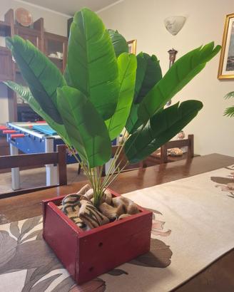 Pianta in cassetta di legno fatta a mano