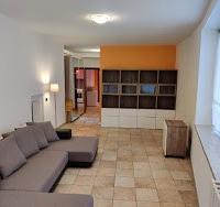 Ampio appartamento bilocale a Introbio