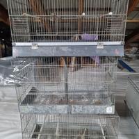 Gabbia Allevamento Gabbie Voliera Da Cova 2 Pezzi