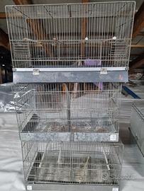 Gabbia Allevamento Gabbie Voliera Da Cova 2 Pezzi