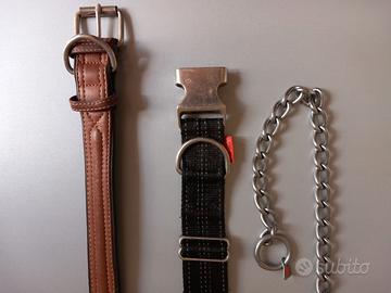 Collari per cani grossa taglia assortiti