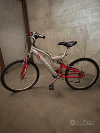 Mountain bike
