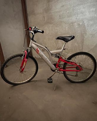 Mountain bike