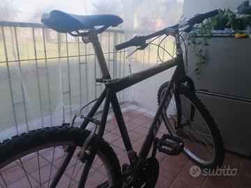 bicicletta 