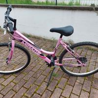 Bicicletta ragazza raggio 26