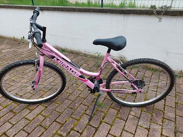 Bicicletta ragazza raggio 26