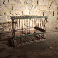 Antica Gabbia Vintage in Legno e Ferro