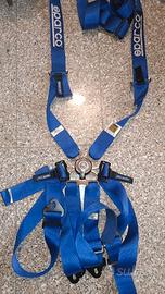 cinture 6 punti sparco scadute