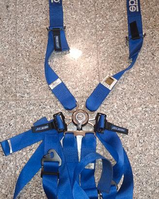 cinture 6 punti sparco scadute