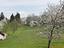 Immagine 12