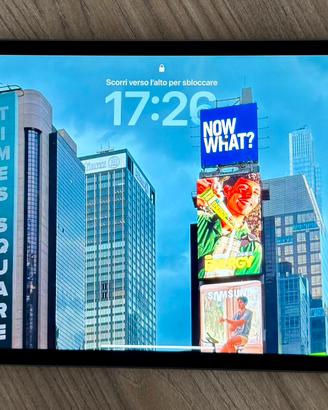 IPad PRO 11" - 256GB - Gen 2 WIFI+Cellular Grigio