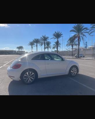MAGGIOLINO DESIGN 1.6 TDI hateback / new beetle