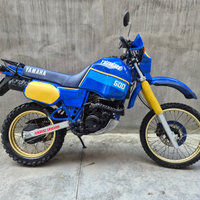 Yamaha Xt 600 1Vj - Targa ORO FMI