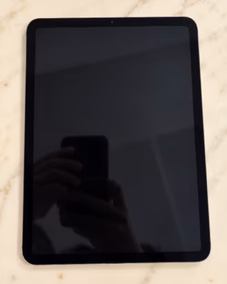 IPad Pro 11” M4 256GB Wi-Fi + Cellular-Come nuovo