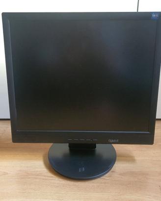 Monitor 19" QBELL
