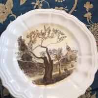 Piatti michele Cascella