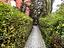 Immagine 13