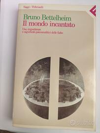 libro " il mondo incantato"