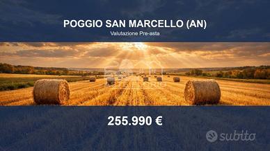 Immobile in asta di 2166 m² a Poggio San Marcello