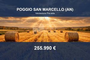 Immobile in asta di 2166 m² a Poggio San Marcello