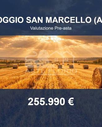Immobile in asta di 2166 m² a Poggio San Marcello