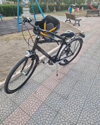 bici regina 972