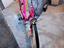 Immagine 5