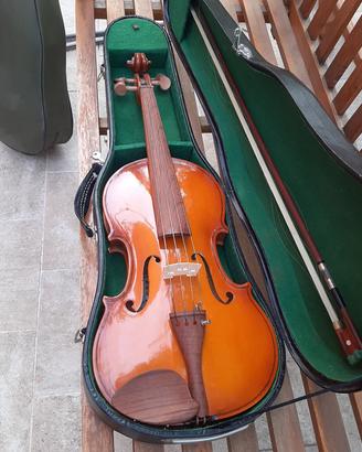 Violino 