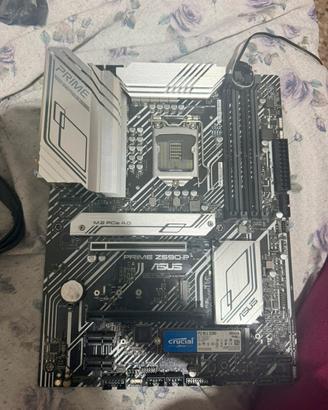Scheda madre prime Z590-P più ssd 500 gb