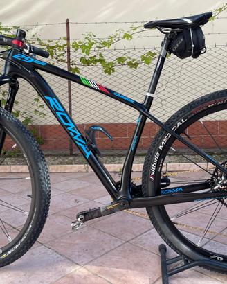 mountain bike rowa 29 pollici