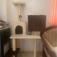 Tiragraffi multipiano usato per gatti-