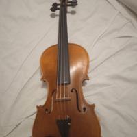 Violino Stentor arcadia