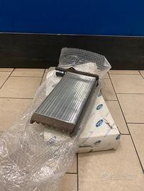 Radiatore Riscaldamento Escort
