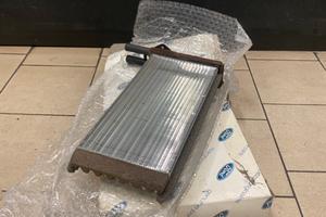 Radiatore Riscaldamento Escort
