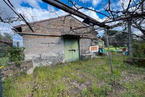 Fabbricato indipendente con 7.000 mq di terreno