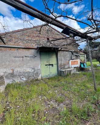 Fabbricato indipendente con 7.000 mq di terreno