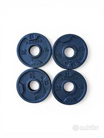 4 dischi da 0,5kg