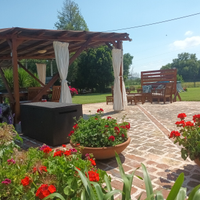 Vacanze con amici a quattro zampe