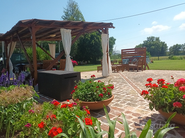 Vacanze con amici a quattro zampe